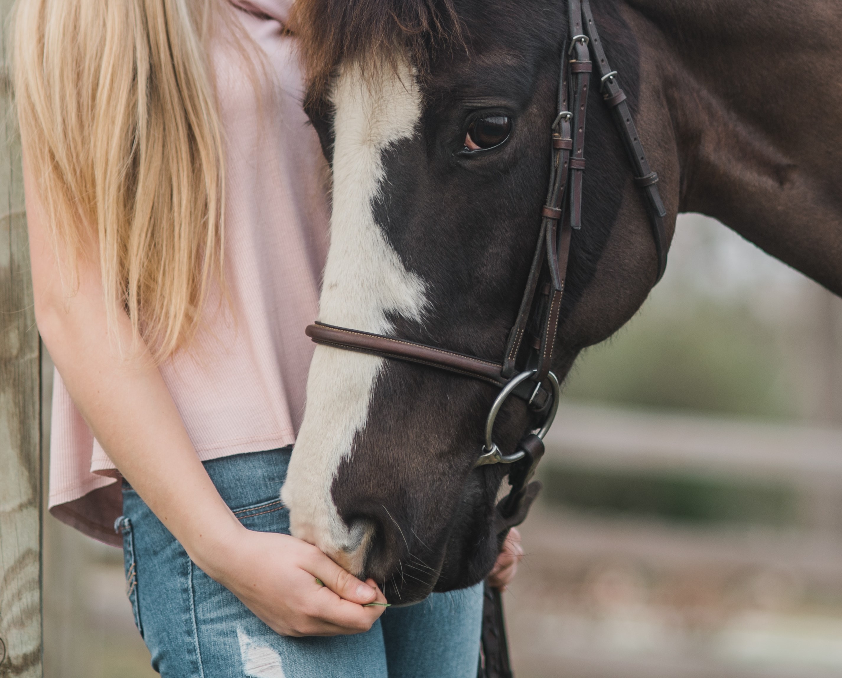 Equine-Assisted Psychotherapy