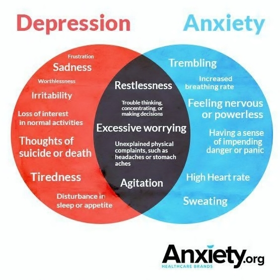 Understanding Anxiety